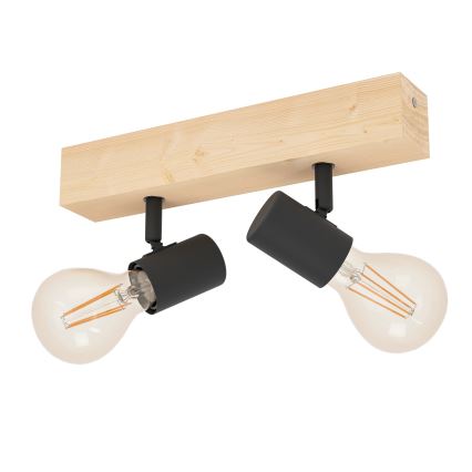 Eglo - Точковий світильник TOWNSHEND 2xE27/60W/230V