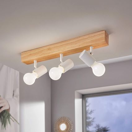 Eglo - Точечный светильник TOWNSHEND 3xE27/60W/230V