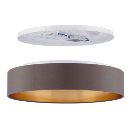 Eglo 99542 - Светодиодный потолочный светильник MASERLO LED/24W/230V