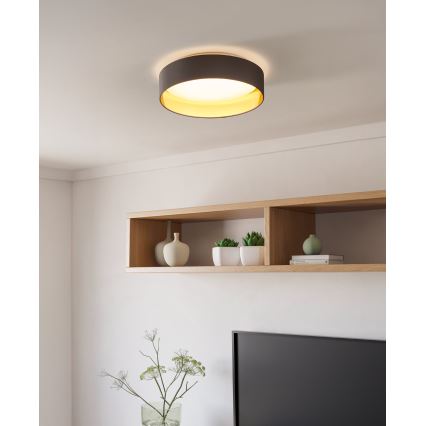 Eglo - Світлодіодний стельовий світильник LED/24W/230V