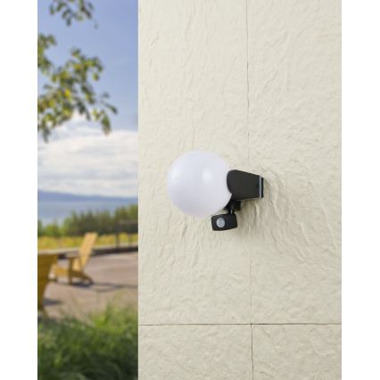 Eglo 99573 - Наружный настенный светильник с датчиком RUBIO 1xE27/15W/230V IP44