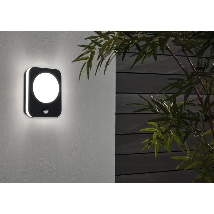 Eglo - Светодиодный уличный настенный светильник с датчиком LED/9W/230V IP44