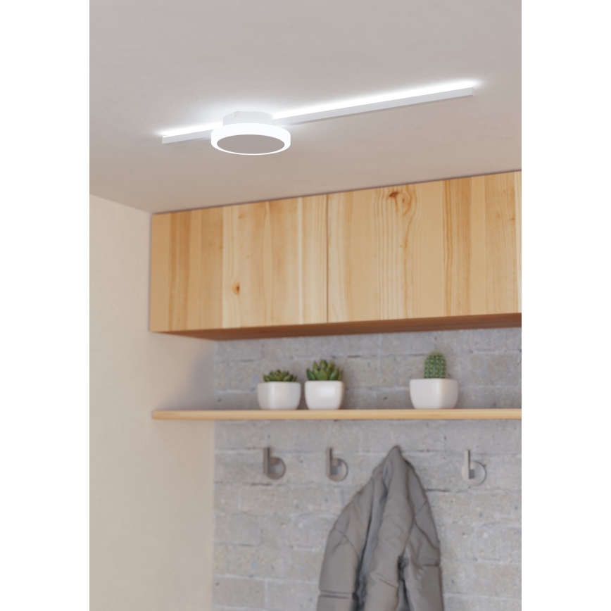 Eglo - Стельовий LED світильник 1xLED/6,3W/230V + 1xLED/5,4W