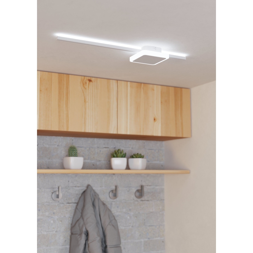 Eglo - Стельовий LED світильник 1xLED/6,3W/230V + 1xLED/5,4W