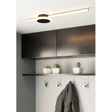 Eglo - Світлодіодний стельовий світильник 1xLED/6,3W/230V + 1xLED/5,4W