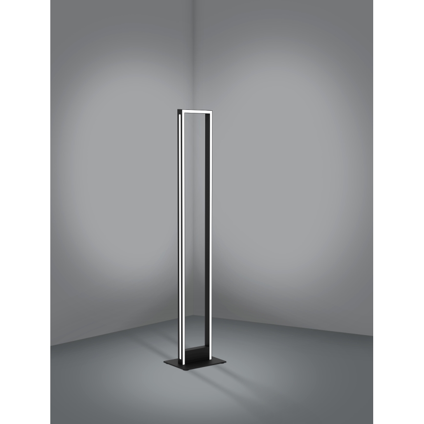 Eglo - LED Торшер з регулюванням яскравості LED/33W/230V 2700-6500K