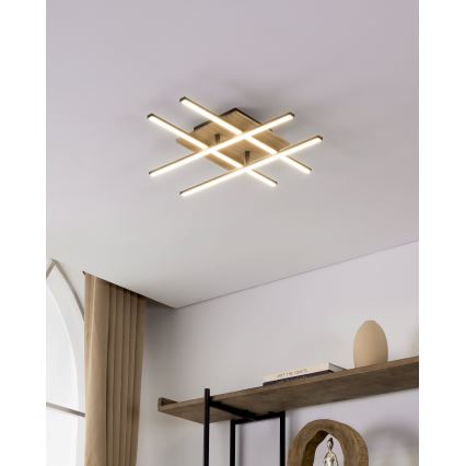 Eglo - Светодиодный потолочный светильник LED/21W/230V