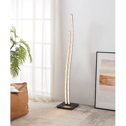 Eglo - Світлодіодний торшер LED/8W/230V