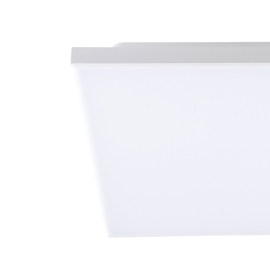 Eglo - Стельовий LED світильник LED/10W/230V