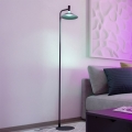 Eglo - диммируемый напольный светильник LED RGBW, 7,5 Вт, 230 В, 2700–6500 К, чёрный