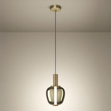 Eglo - LED диммируемая люстра на тросе 1xLED/5,5W/230V + 1xLED/1,6W золотая
