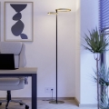 Eglo - LED диммируемая напольная лампа LED/16W/230V + LED/12W золотая/чёрная