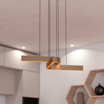 Eglo - LED RGBW диммируемая люстра на тросе 2xLED/18W/230V медная/чёрная