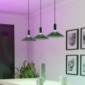 Eglo - LED RGBW люстра на тросі з можливістю затемнення 3xLED/7,5W/230V 2700-6500K чорна