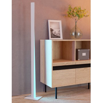 Eglo - LED RGBW регульована підлогова лампа LED/10,5W/230V + LED/15,2W 2700-6500K сіра