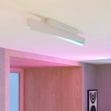 Eglo - LED RGBW стельовий світильник з регулюванням яскравості LED/13W/230V 2700-6500K сірий