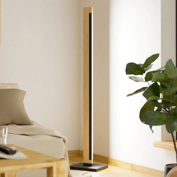 Eglo - LED Сенсорний торшер з регулюванням яскравості CAMACHO LED/22W/230V