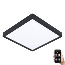 Eglo - LED світильник для ванної з регулюванням яскравості LED/19,5W/230V 2700-6500K IP44 чорний