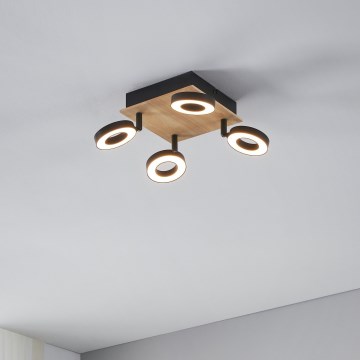 Eglo - LED точковий світильник 4xLED/4,2W/230V чорний/коричневий