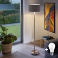 Eglo - LED  Торшер TUNJA 1xE27/60W/230V матовий хром/сіро-коричневий