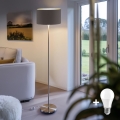 Eglo - LED  Торшер TUNJA 1xE27/60W/230V матовий хром/коричневий