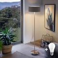 Eglo - LED  Торшер TUNJA 1xE27/60W/230V матовий хром/коричневий