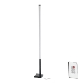 Eglo - LED Торшер з регулюванням яскравості LED/14W/230V 2700-6500K + дистанційне керування