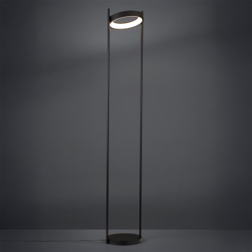 Eglo - LED Торшер з регулюванням яскравості LED/20W/230V 3000K чорний