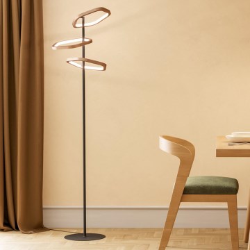 Eglo - LED торшер з регулюванням яскравості LED/20W/230V латунь