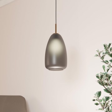 Eglo - Люстра на тросі 1xE27/40W/230V