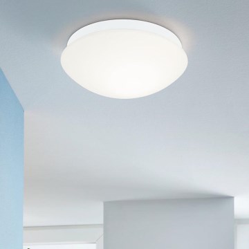 Eglo - Освітлення ванної кімнати з датчиком 1xE27/20W/230V IP44