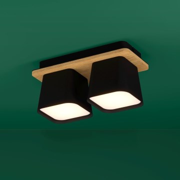 Eglo - Потолочный светильник 2xE27/40W/230V черный/коричневый