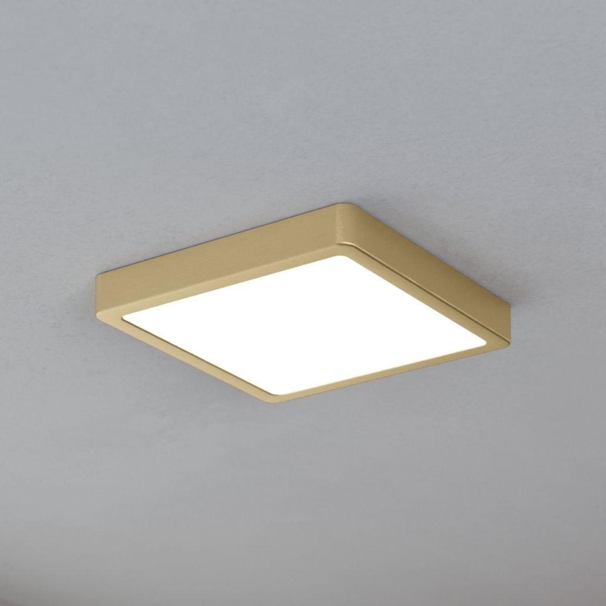 Eglo - Потолочный светильник LED/17 Вт/230 В 21×21 см