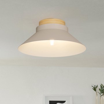 Eglo - Потолочный светильник 1xE27/40W/230V