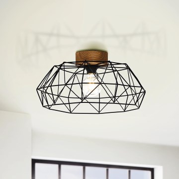 Eglo - Потолочный светильник 1xE27/60W/230V