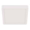 Eglo - Стельовий LED світильник для ванної LED/20,5W/230V IP44 білий
