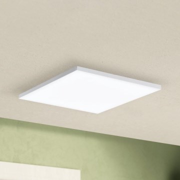 Eglo - Стельовий LED світильник LED/10,8W/230V