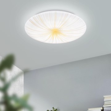 Eglo - Стельовий LED світильник LED/10W/230V
