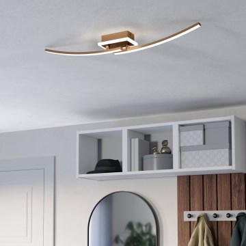 Eglo - Стельовий LED світильник LED/12W/230V 4000K мідний
