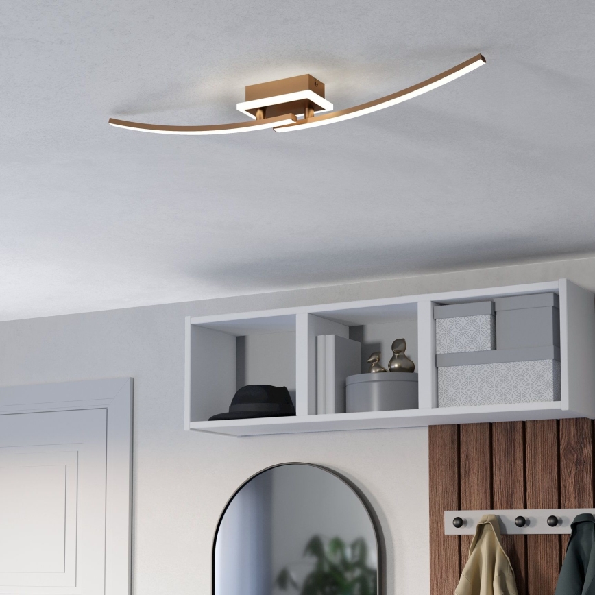 Eglo - Стельовий LED світильник LED/12W/230V 4000K мідний