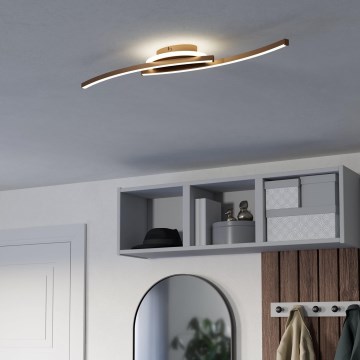 Eglo - Стельовий LED світильник LED/12W/230V 4000K мідний