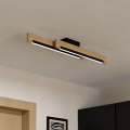 Eglo - Стельовий LED світильник з регулюванням яскравості 2xLED/10W/230V