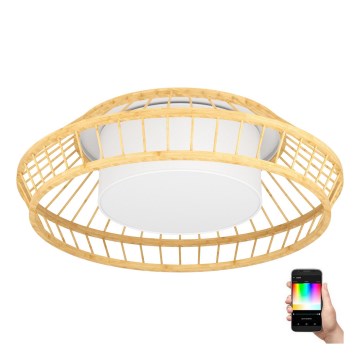 Eglo - Стельовий RGBW-світильник з регулюванням яскравості LED/22W/230V 2700-6500K