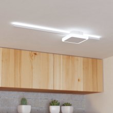 Eglo - Стельовий LED світильник 1xLED/6,3W/230V + 1xLED/5,4W