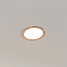 Eglo - Стельовий LED світильник для ванної з регулюванням яскравості LED/10,5W/230V IP44 ZigBee