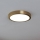 Eglo - Стельовий LED світильник LED/17W/230V діаметр 21 см