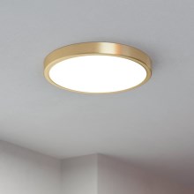 Eglo - Стельовий LED світильник LED/20,5W/230V діаметр 28,5 см