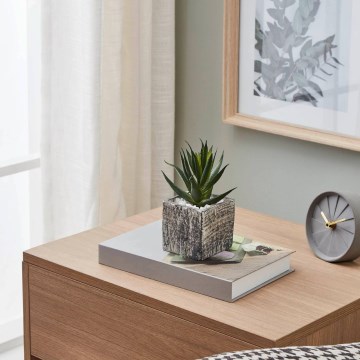 Eglo - Штучна рослина в горщику 13x9,5 см сукулент