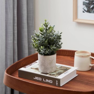 Eglo - Штучна рослина в горщику 22x16 см