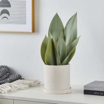 Eglo - Штучна рослина в горщику 41,5x28,5 см